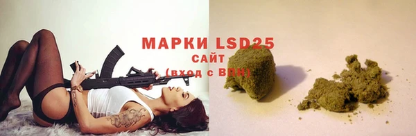 PSILOCYBIN Балахна