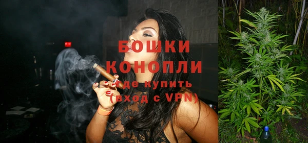 PSILOCYBIN Балахна